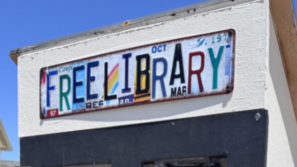 California Mother Heartbroken After Book-Loving Son Was Allegedly Pranked by Locked Little Free Library: ‘The Most Disappointing Thing Was How Sad My Son Was’