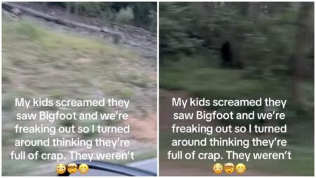 ‘Where’s Bigfoot?’: Pennsylvania Family Goes Viral After Thinking They Spotted Bigfoot Pennsylvania family think they saw bigfoot