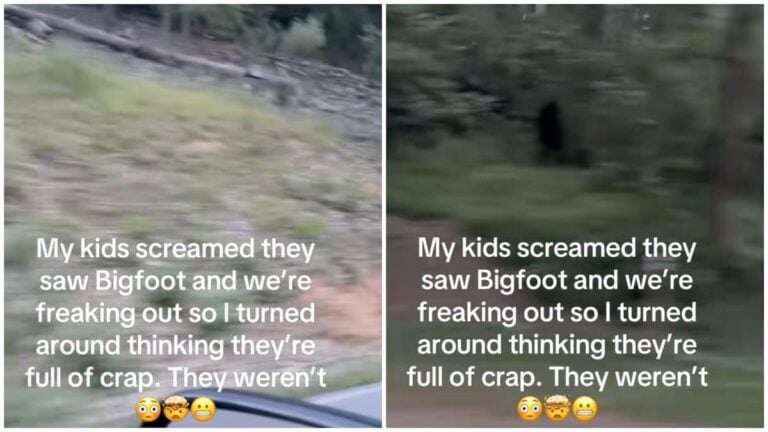 ‘Where’s Bigfoot?’: Pennsylvania Family Goes Viral After Thinking They Spotted Bigfoot Pennsylvania family think they saw bigfoot