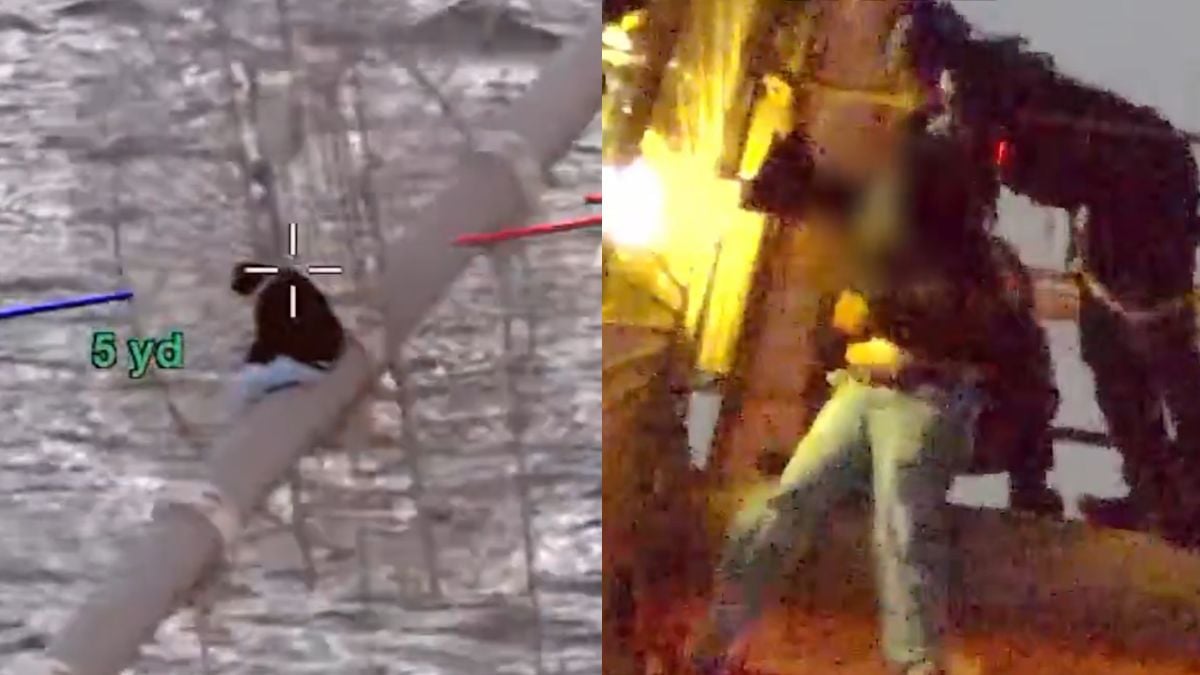 New York Cops Climb Brooklyn Bridge To Reach Woman Threatening To Jump, Pull Her to Safety After Hour-Long Rescue: ‘Courageous in Every Way!’