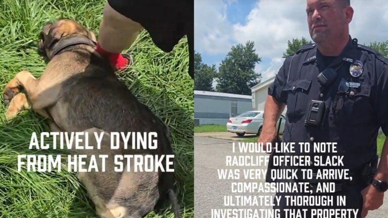 Kentucky Woman Calls Police, Says Dog Was Left in Deadly Heat: ‘Is the Pup Okay?’