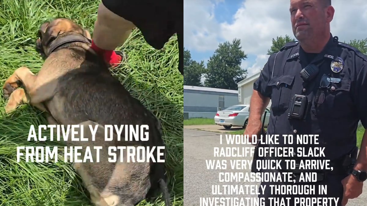 Kentucky Woman Calls Police, Says Dog Was Left in Deadly Heat: ‘Is the Pup Okay?’