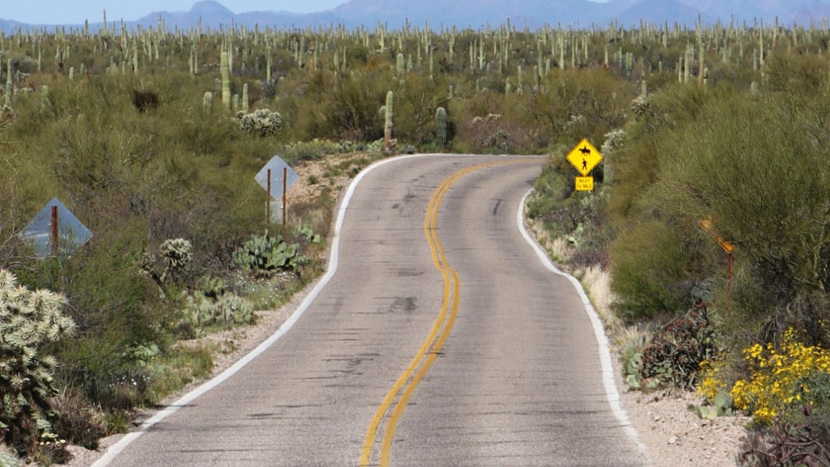 Arizona Driver Goes Viral After Complaining About Ticket for Driving 56 in a 55 Zone: ‘Was the Stop Really Worth It?’
