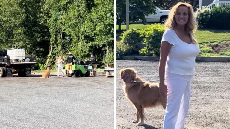 Pennsylvania Woman Threatens to Call ICE on Hispanic Road Workers During Neighborhood Meltdown: ‘Even the Dog Was Embarrassed’