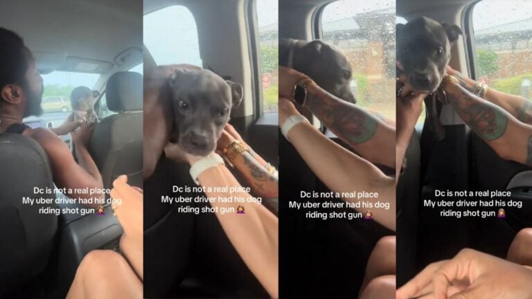 Uber driver holding a puppy in the front seat while passengers sit in the back.