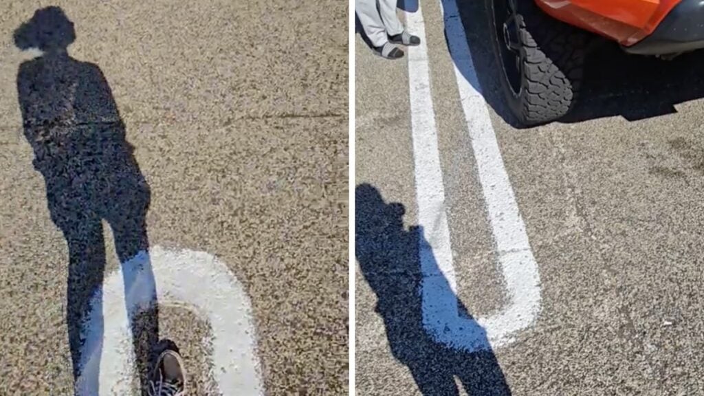 California Woman Confronts Individual Who Left Their Dog in the Car During a Heat Wave: ‘Break the Windows Next Time’