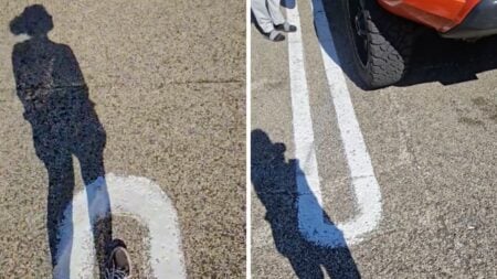 California Woman Confronts Individual Who Left Their Dog in the Car During a Heat Wave: ‘Break the Windows Next Time’