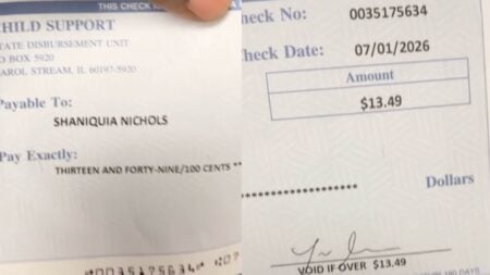 Ex Sues Illinois Dad After He Lowers Child Support From $300 to $150 a Week, Ends Up With $13.49 a Month: ‘The Jokes Write Themselves’ A child support payment check from Illinois dated July 2026.