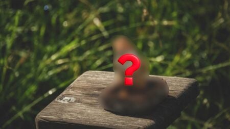 Iowa Citizens Unhappy With New Reiman Gardens Baby Gnome: ‘That Is Compressed Liquid Nightmare Fuel’ Iowa Baby Gnome