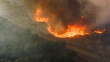 Illinois Residents Alarmed as Wildfire Smoke Engulfs Parts of the State: ‘Silent Hill: Chicago Edition’ Illinois wildfire