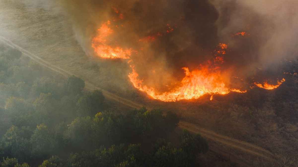 Illinois Residents Alarmed as Wildfire Smoke Engulfs Parts of the State: ‘Silent Hill: Chicago Edition’
