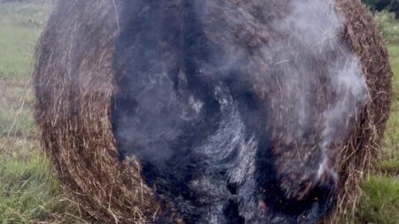 Lightning Shockingly Strikes Texas Farm Again: ‘We Have Actually Had 2 Cows Struck Before in the Past’ hay bale struck by lightning in Texas