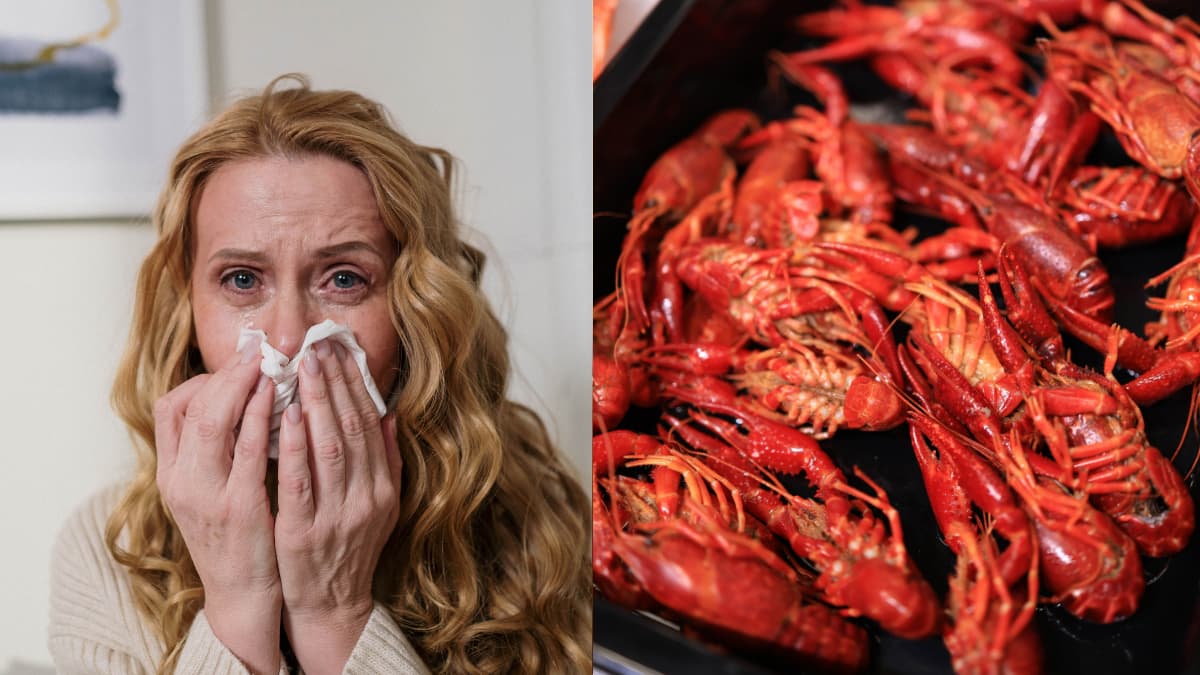 North Carolina Woman Intentionally Triggers Allergic Reaction Just So She Can Eat Shellfish: ‘She Needs a Mental Health Intervention’