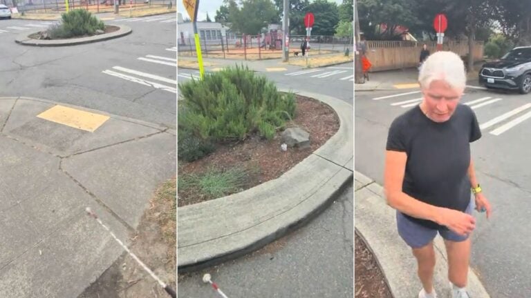 Blind Washington Man’s Street-Crossing Blunder Leaves Entire Group Stranded in Roundabout: ‘How Do They Genuinely Find Home?’ Blind Washington Man Leads Another Blind Man Across Street, They End Up in the Middle of Roundabout