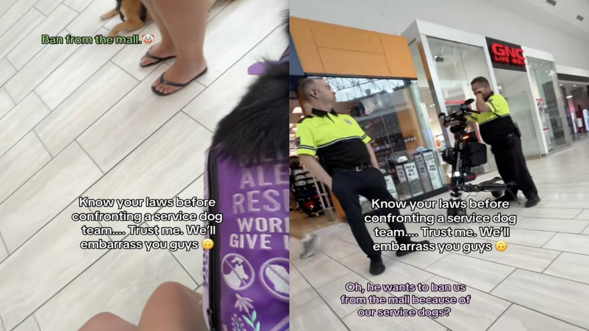 New York Woman Threatened with Ban from Mall Over Her Service Dogs: ‘How Can They Be THAT Bored’