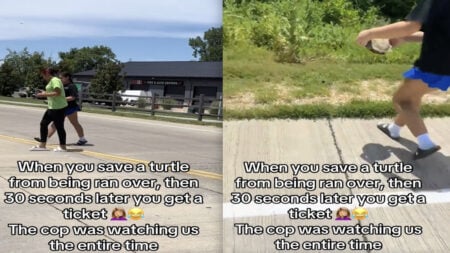 Missouri Woman Ticketed by Negative Cop After Saving a Turtle Who Was Trying to Cross the Road: ‘Don’t Pay the Ticket and Go See a Judge’ Missouri Woman Ticketed by Negative Cop After Saving a Turtle Who Was Trying to Cross the Road