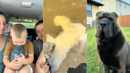 Ohio Family Vlogs Dog Funeral, Laughs While Scattering His Ashes in Creek