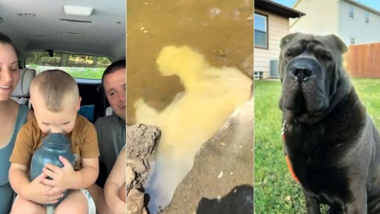 Ohio Family’s Emotional Dog Funeral Has Millions Laughing Through Tears: ‘Well, That Was the Funniest Funeral I’ve Ever Been To’ Ohio Family Vlogs Dog Funeral, Laughs While Scattering His Ashes in Creek