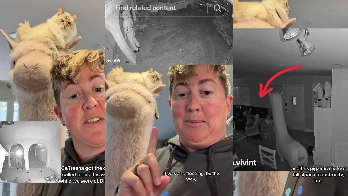 Florida Nurse’s Six-Foot Stuffed Alpaca Sets Off Alarm and Brings Cops to Her Home: ‘Guilty of Criminal Negligence’