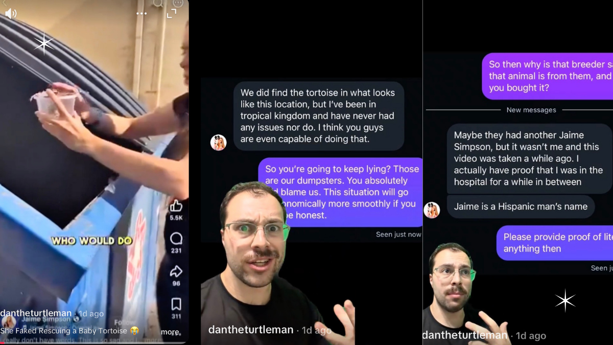 Arizona Influencer Accused of Staging Tortoise Rescue After Breeder Records Surface: ‘Don’t Put a Baby Tortoise in a Dumpster for Clout’