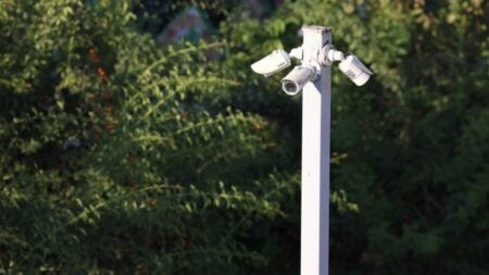 Cluster of surveillance cameras mounted outdoors amidst green foliage for public safety.