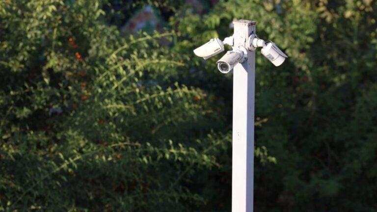 Cluster of surveillance cameras mounted outdoors amidst green foliage for public safety.