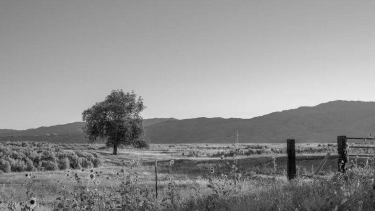 Idaho Bonner County