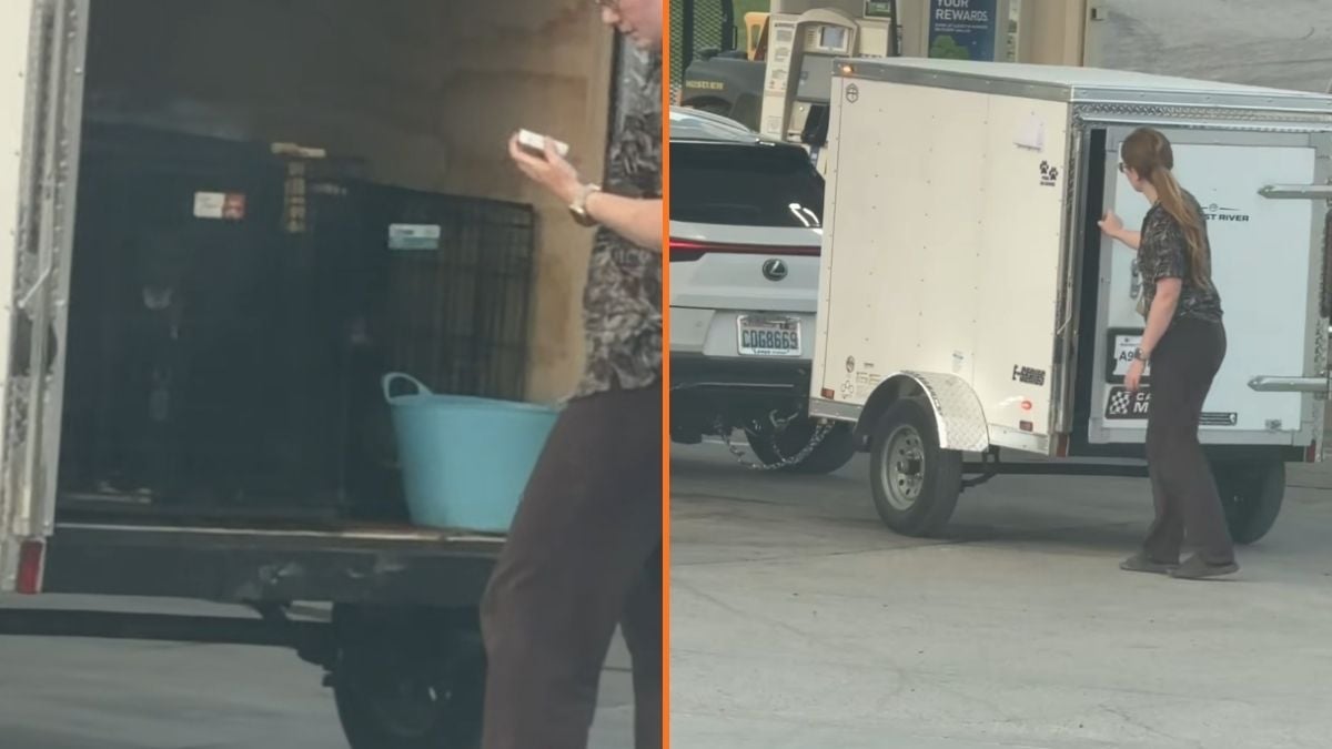 Man Spots Panting Dogs Inside an Enclosed Trailer at a North Dakota Gas Station: ‘She Should Go To Jail’