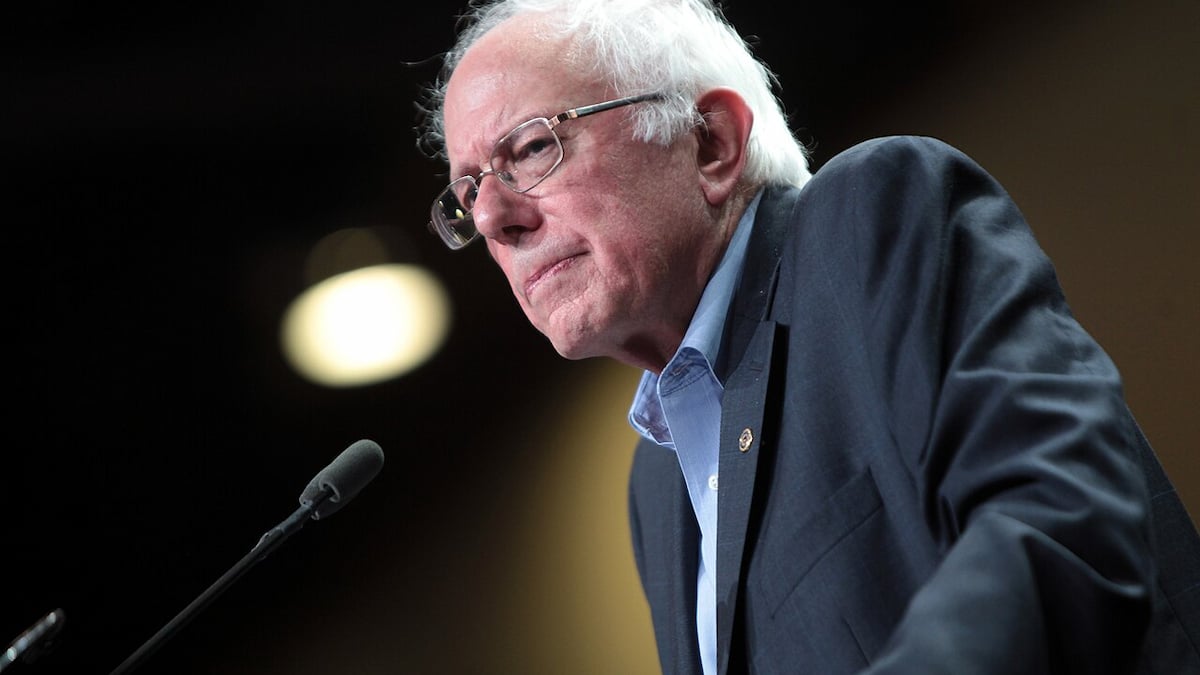 ‘Bernie Is Trying to Burn Down the Party’: Vermont Sen. Bernie Sanders Draws Backlash After Rejecting John Fetterman’s Call to Sit Out Senate Primaries