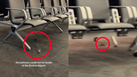 Massachusetts Airport Mouse Sighting Leaves Passengers Disgusted: ‘What Terminal so I Can Avoid It’