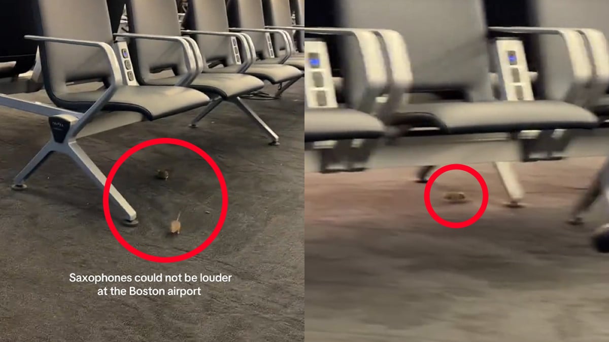 Massachusetts Airport Mouse Sighting Leaves Passengers Disgusted: ‘What Terminal so I Can Avoid It?’