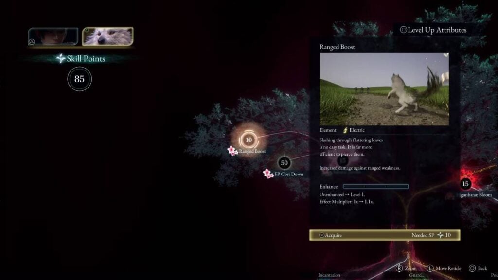 Enhance Skills