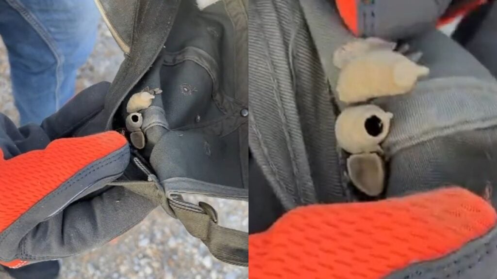 Michigan Man Couldn’t Stop Hearing Buzzing, Finds Wasp Nest in Cap: ‘I’d Cut My Ear Off’ Michigan Man Couldn’t Stop Hearing Buzzing, Finds Wasp Nest in Cap