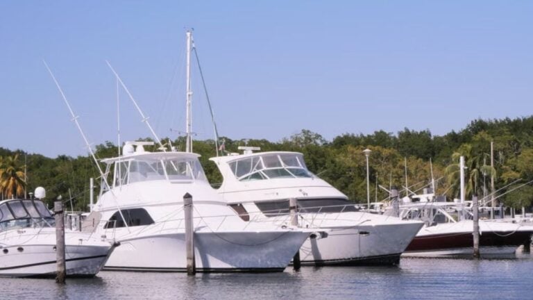 Luxury yachts docked at a marina in Miami, Florida under a clear blue sky.