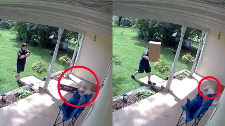 Nebraska Woman Accuses FedEx Driver of Throwing Packages at Her Pets: ‘Keep Your Cats and Dog Inside’ Nebraska Woman Accuses FedEx Driver of Throwing Packages at Her Pets: ‘Keep Your Cats and Dog Inside’