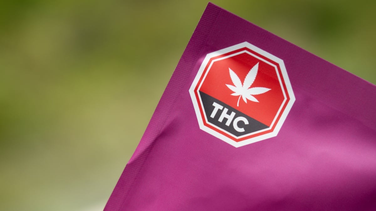 ‘Prohibition Doesn’t Work’: Commenters Back Texas Rep. James Talarico’s Scathing Critique of THC Ban as Gift to Cartels