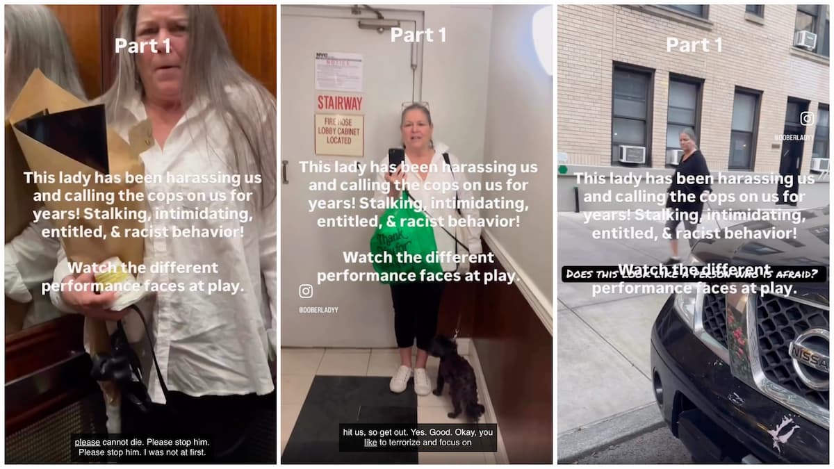 ‘Stop Him!’: New York Woman Accused of Years-Long Harassment of Couple and Service Dog