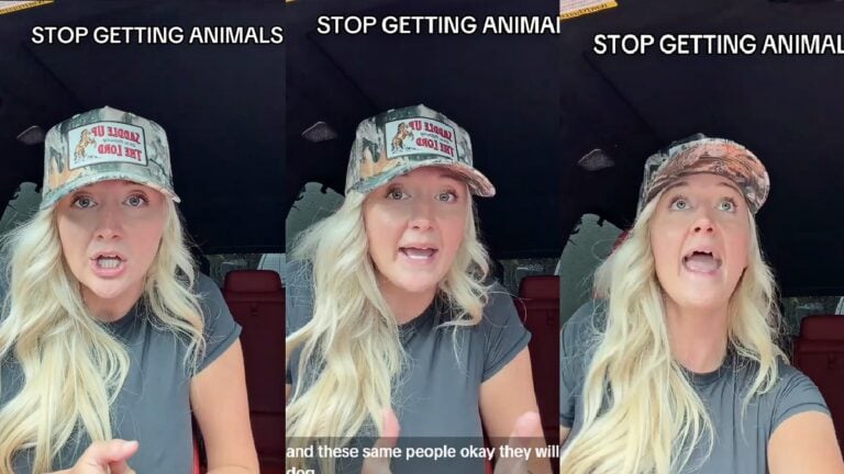 Florida Woman Blasts Pet Owners Over Constantly Rehoming Dogs