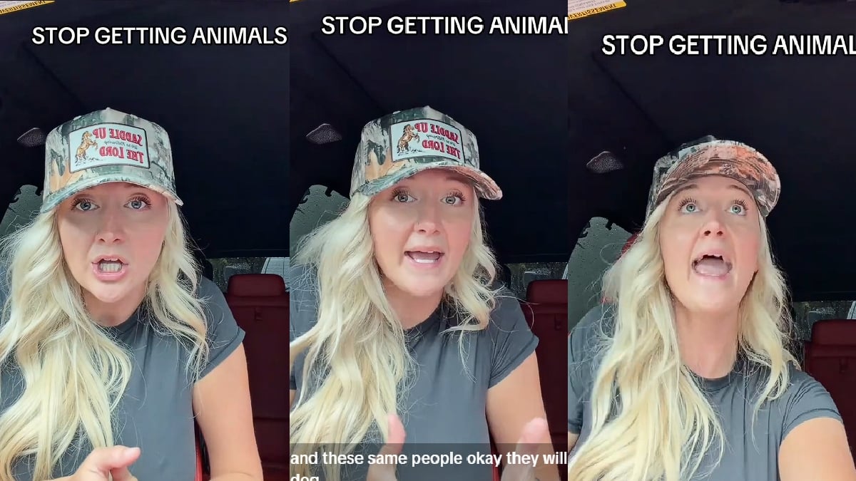 Florida Woman Blasts Pet Owners Who Constantly Rehome Their Dogs: ‘Then Months Later They Get A New One’
