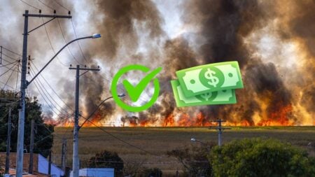 Oregon wildfire betting