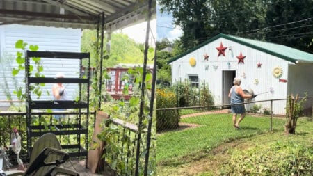 Miserable West Virginia Neighbor Sprays Chemicals on Woman’s Crops: ‘If you have a vegetable garden there, that’s attempted murder’ Miserable-West-Virginia-Neighbor-Sprays-Chemicals-on-Womans-Crops