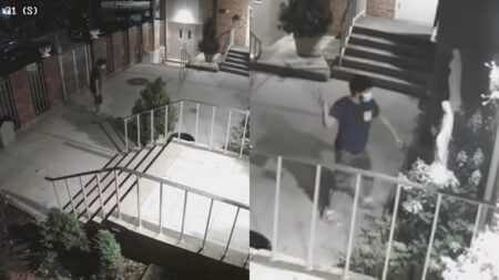 Masked New York Man Jumps Over Church Fence and Smashes Virgin Mary Statue: ‘Mamdani’s NYC’ A picture of masked New York man.