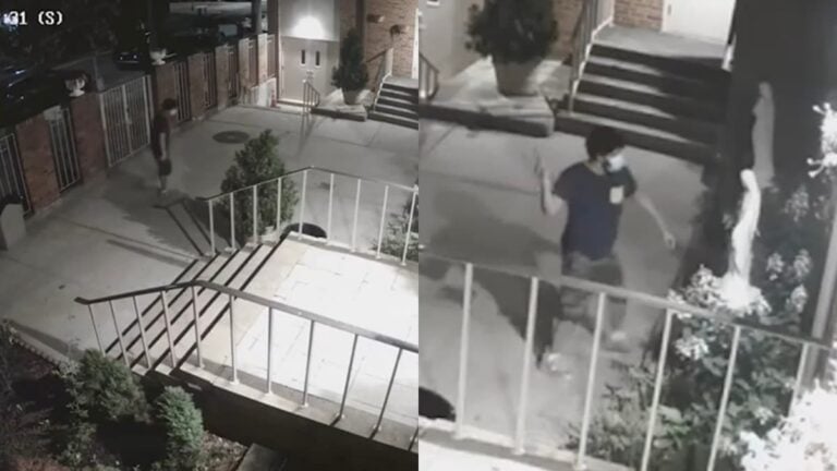 Masked New York Man Jumps Over Church Fence and Smashes Virgin Mary Statue: ‘Mamdani’s NYC’ A picture of masked New York man.