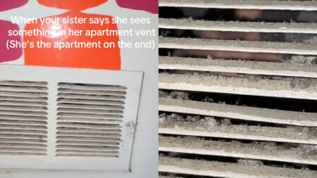 Ohio Woman Checks Her Vent After Seeing Something Eerie: ‘She Has to Move’