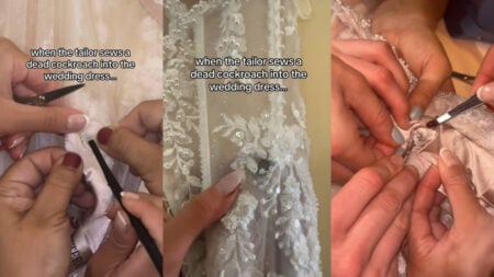 Washington Bride Finds Dead Cockroach Trapped Inside Wedding Dress, Sparking Wild Theories: ‘Can’t Convince Me That’s Not Witchcraft’ Wedding Dress Cockroach Mystery