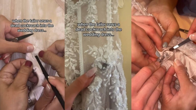 Wedding Dress Cockroach Mystery
