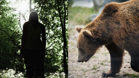 California Fans Terrified as Young & Restless Star Zuleyka Silver Survives Solo Bear Encounter: ‘That was horribly scary’