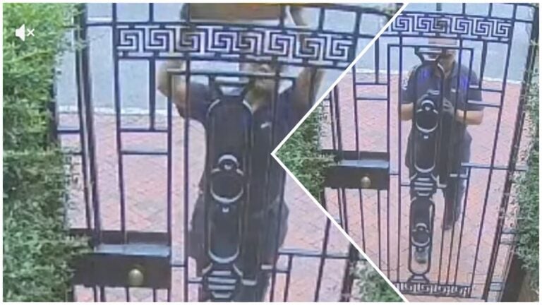 ‘He Didn’t Even TRY the Gate’: New York Delivery Driver Hurls Package Over Gate, Contents Smashed New York delivery driver caught throwing fragile package