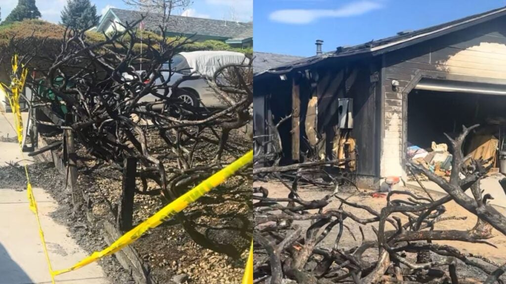 Nevada Neighbor Accused of Burning Juniper Bushes She Didn’t Like, Starting House Fire: ‘They Are Going to Jail for a While’ Nevada Neighbor Accused of Burning Juniper Bushes They Didn’t Like, Starting House Fire