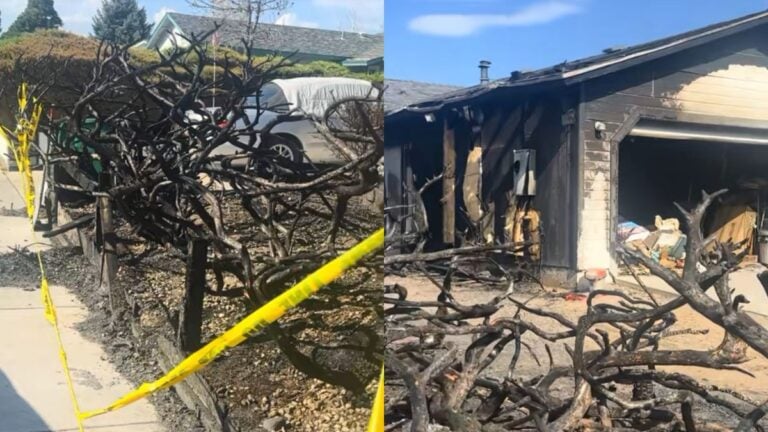 Nevada Neighbor Accused of Burning Juniper Bushes She Didn’t Like, Starting House Fire: ‘They Are Going to Jail for a While’ Nevada Neighbor Accused of Burning Juniper Bushes They Didn’t Like, Starting House Fire